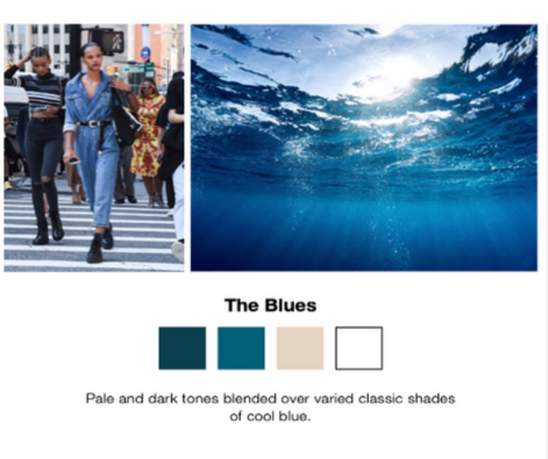 VANLINKER visual identity direction — The Blues color palette moodboard